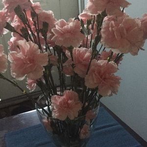 Meet your Posher, Alma